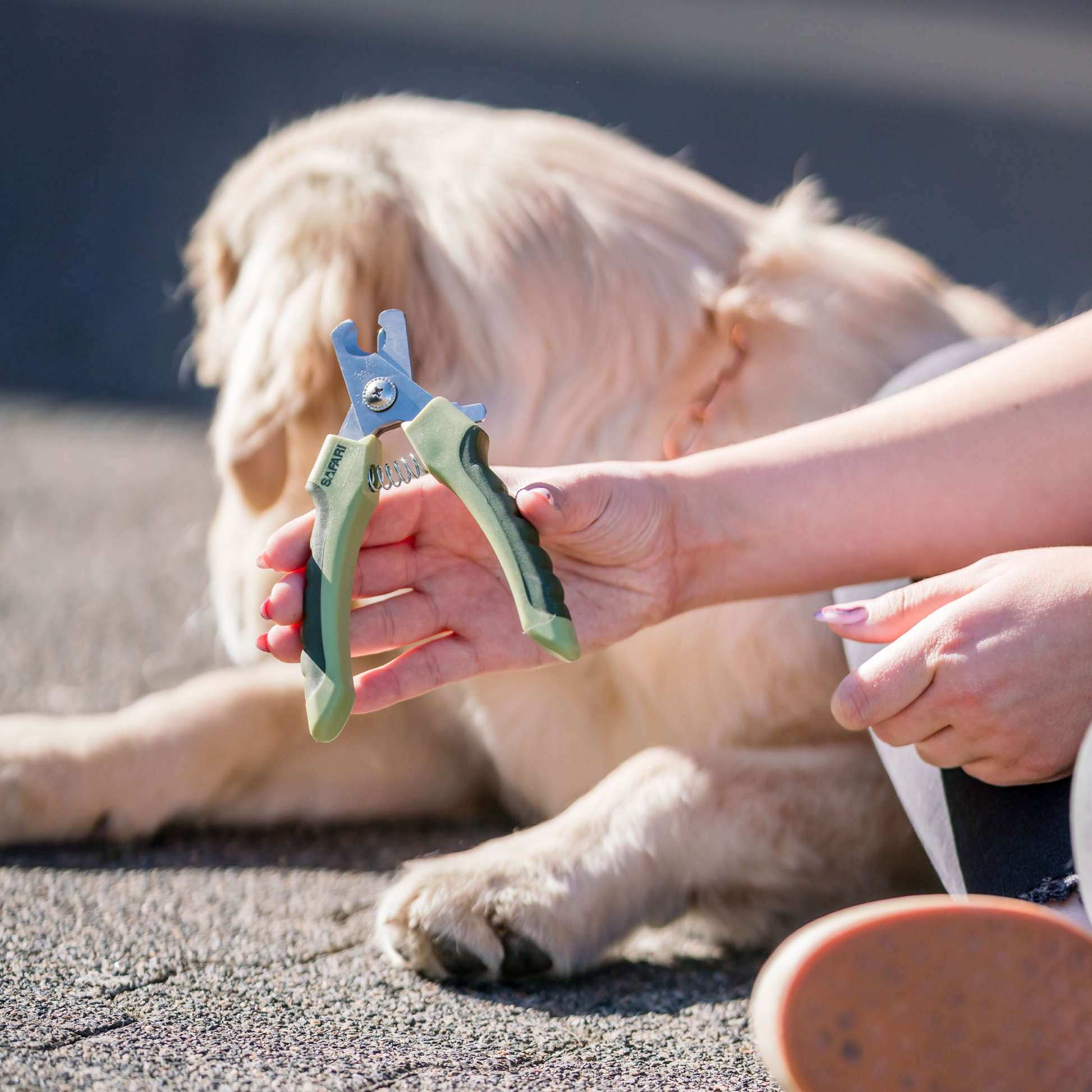 Safari® Profi Krallenzange Hunde | 5790000973_2.png
