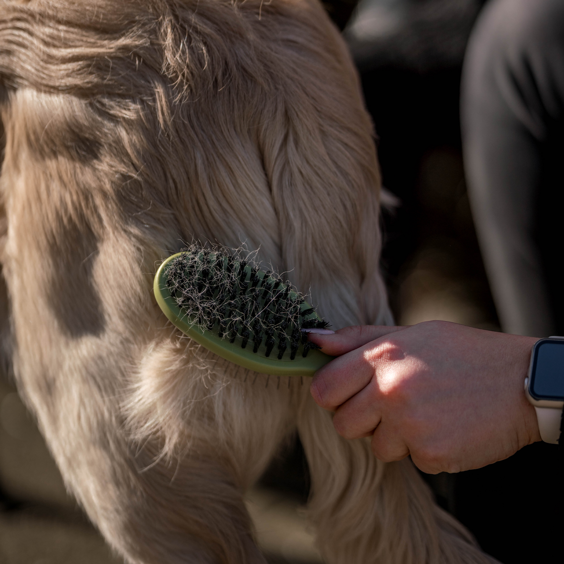 Safari® Hunde Entfilzungskamm | 5790001273_1.png