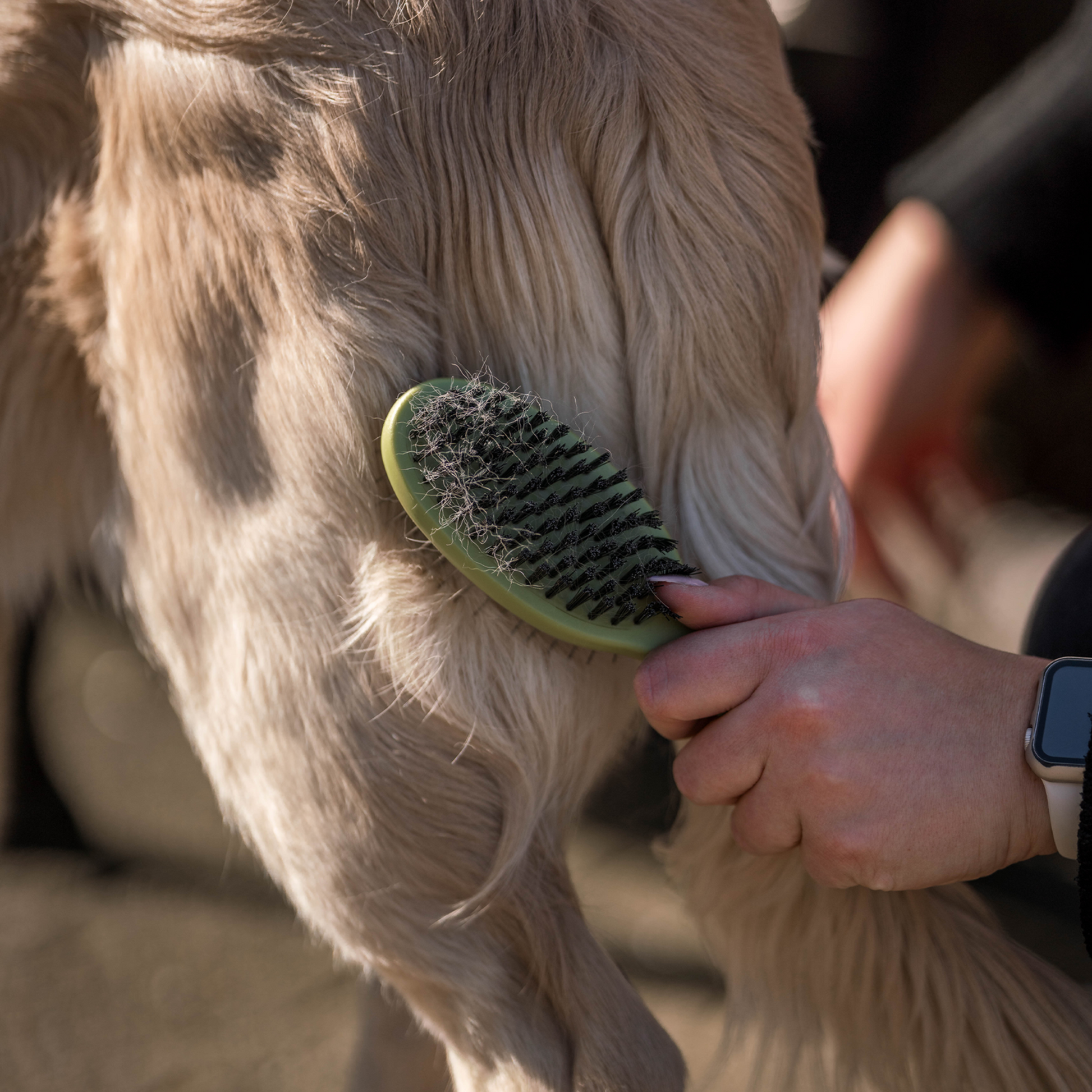 Safari® Hunde Entfilzungskamm | 5790001273_2.png