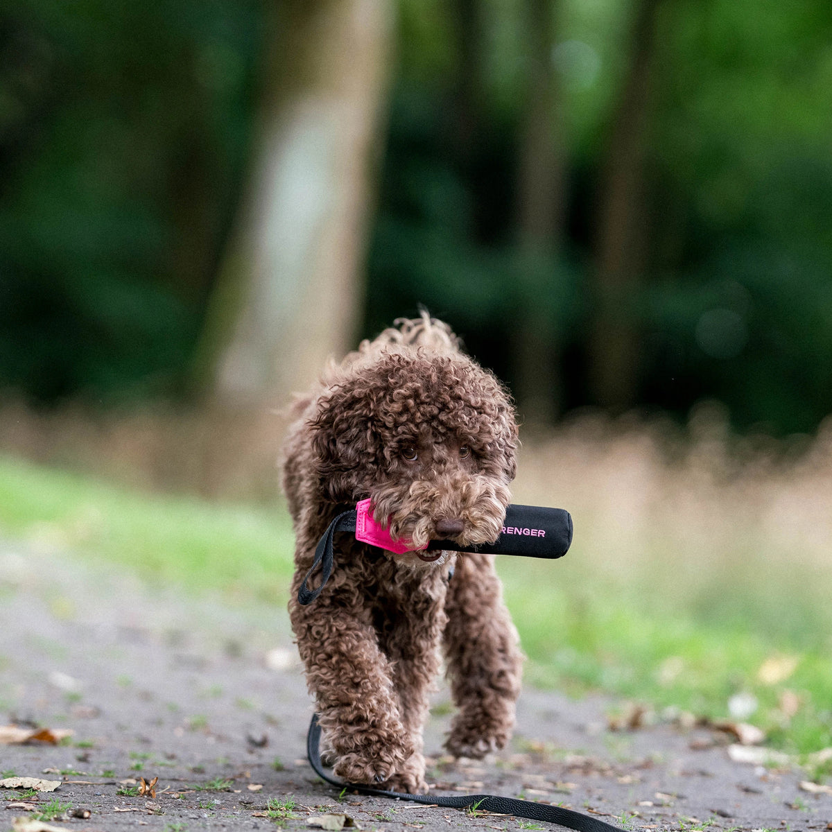 Hundespielzeug Dummy