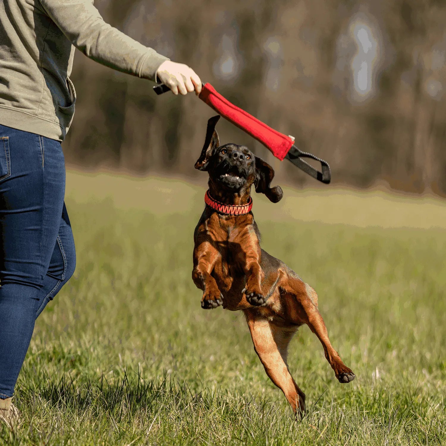 Boudins de mordant pour chiens - Coton