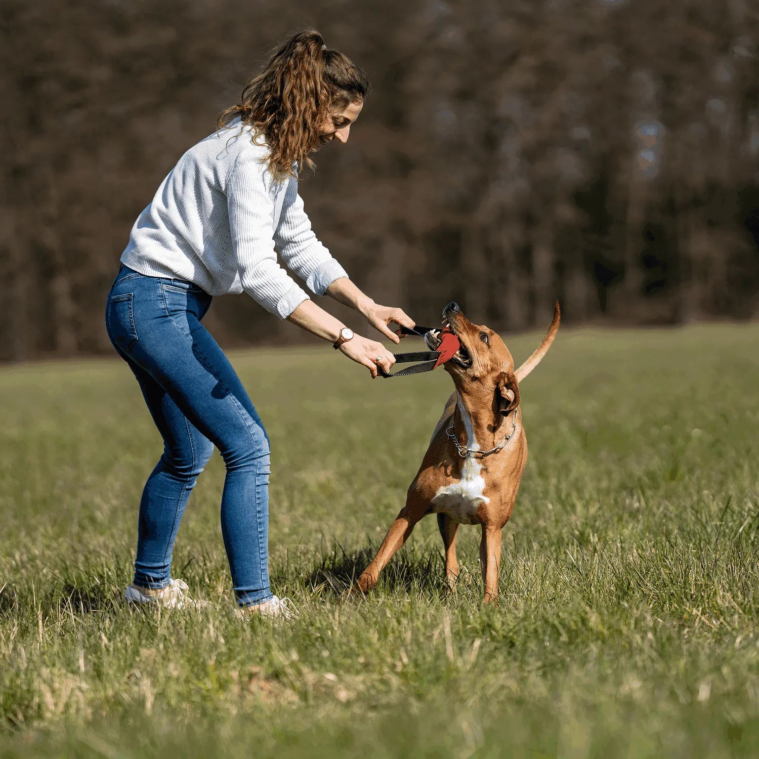 Frau und Hund spielen mit rot schwarzen Baumwoll Bringsel auf der Wiese