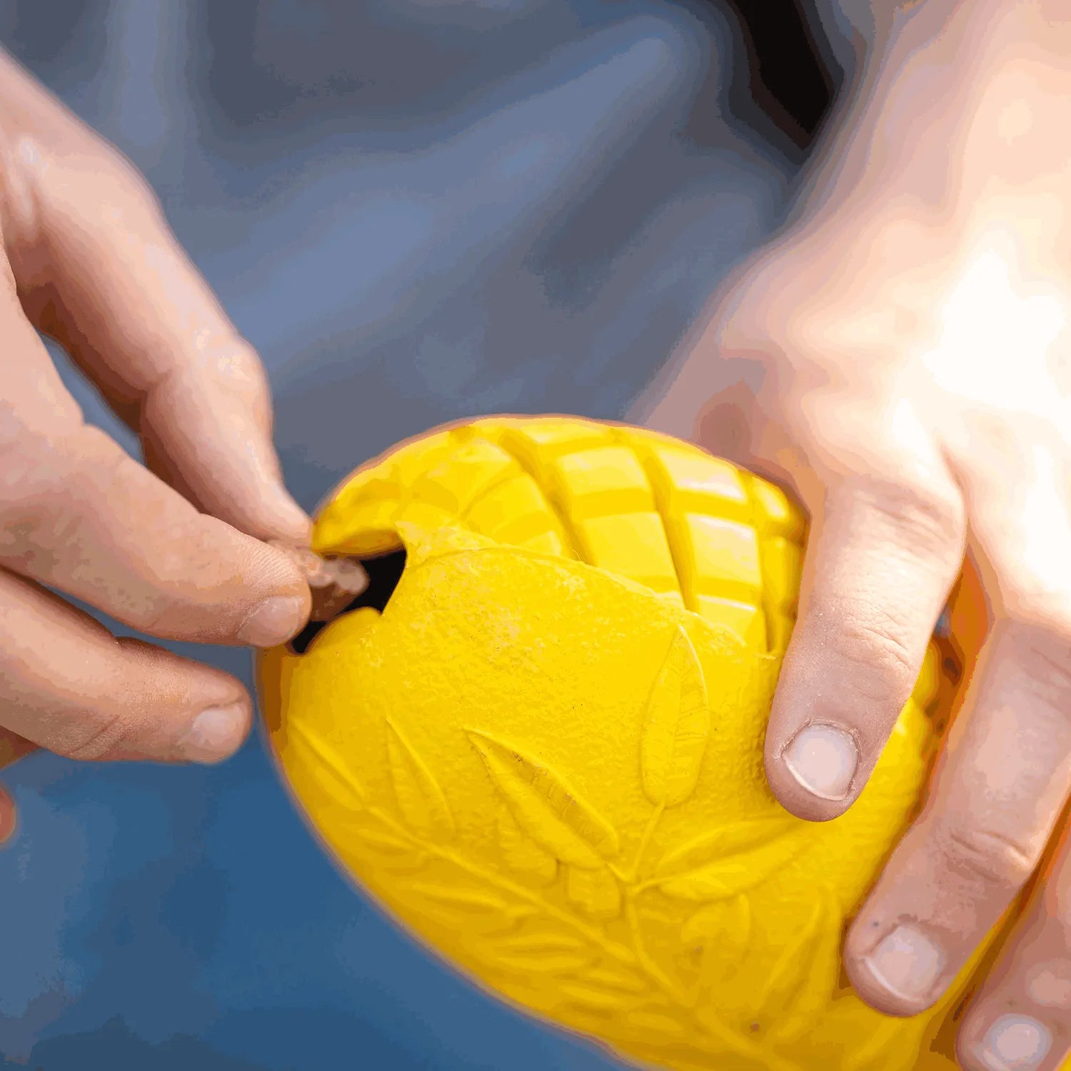 Befüllen des Hundespielzeug Mango mit Hundefutter