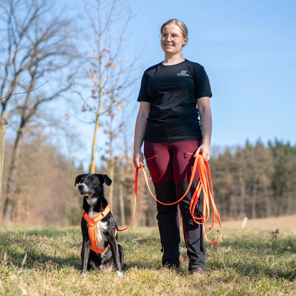 Frau und Hund mit orangenen Y-Geschirr und orangener Footballrip Biothne Hundeleine auf der Wiese
