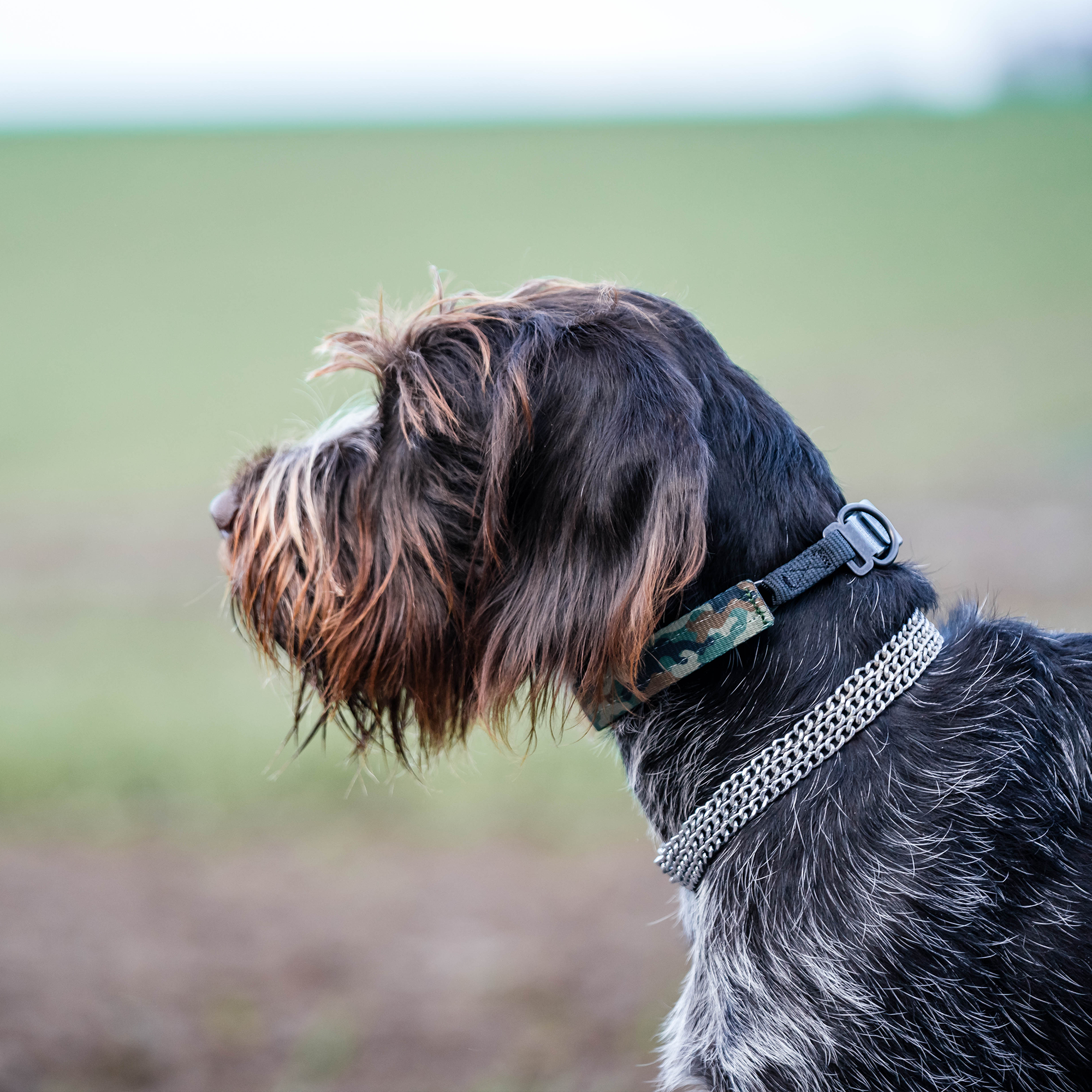 Cover for ULTRA-PLUS Training Collars - Camouflage Green