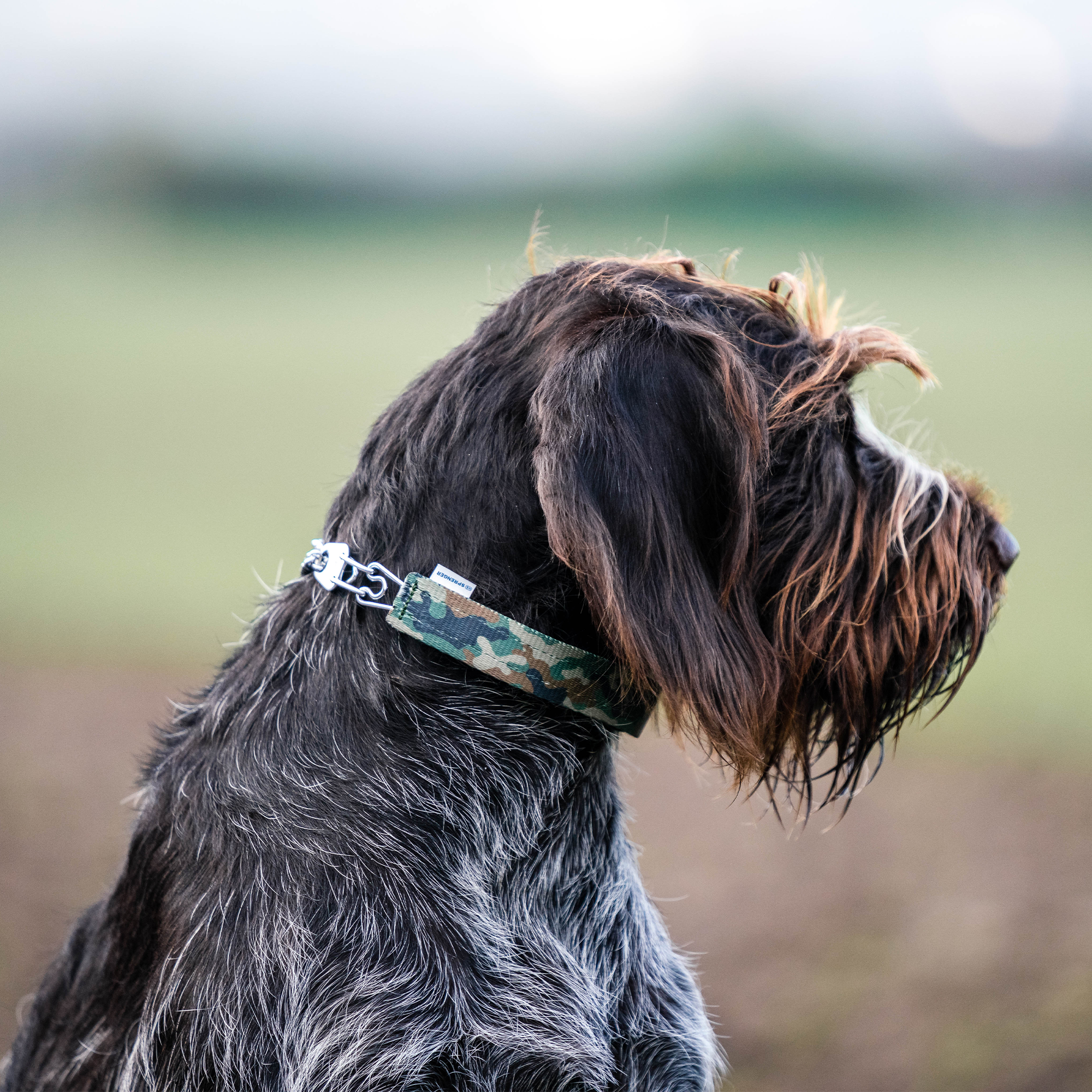 Cover for ULTRA-PLUS Training Collars - Camouflage Green