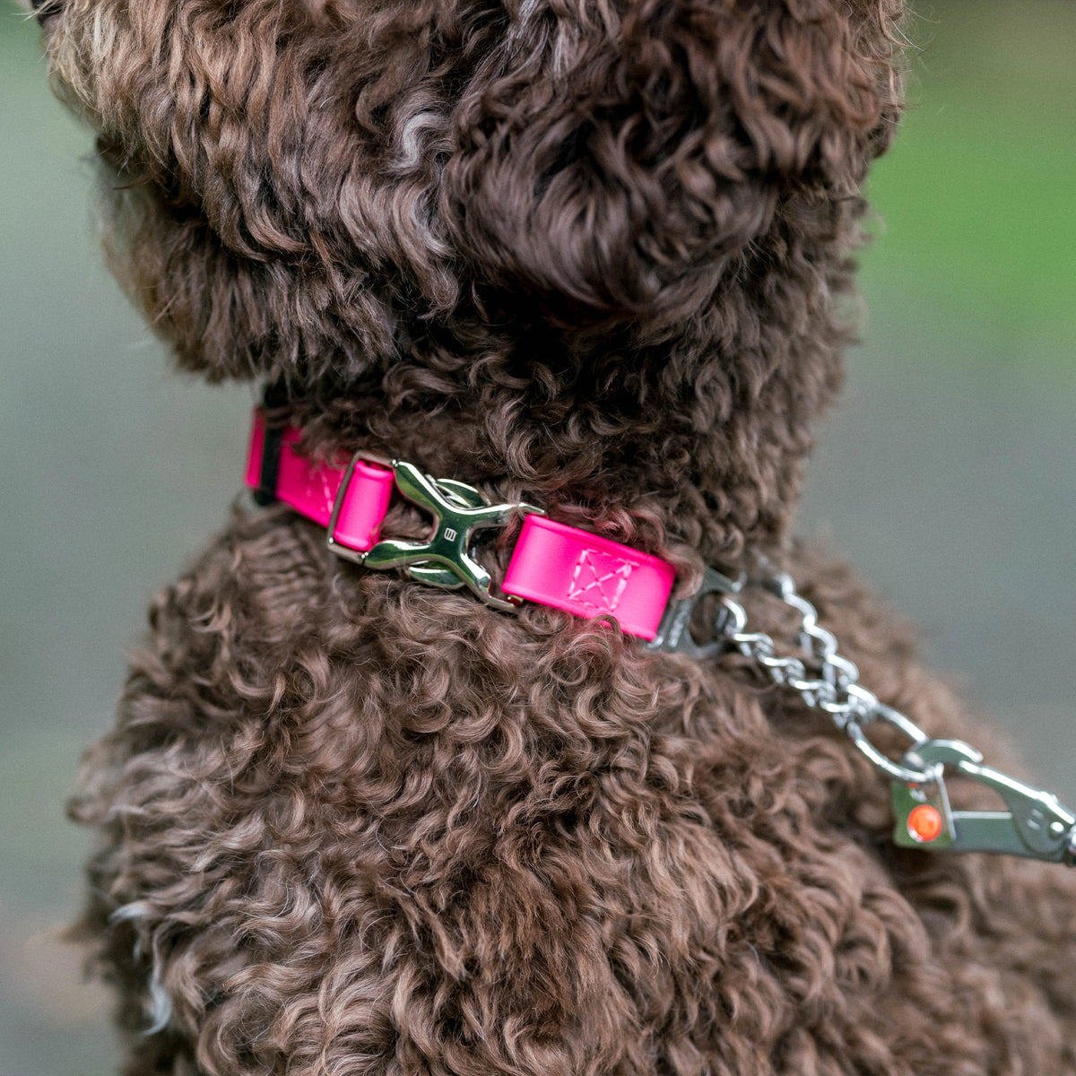 Verstellbares Halsband mit Durchzugskette und Spyder-Verschluss - BioThane®