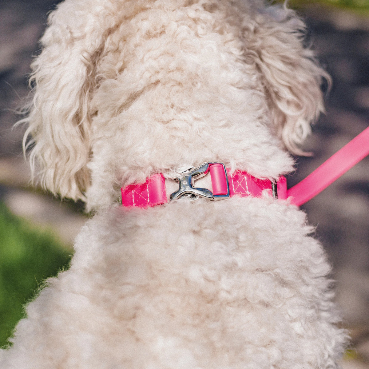 Verstellbares Halsband mit Durchzugskette und Spyder-Verschluss - BioThane®