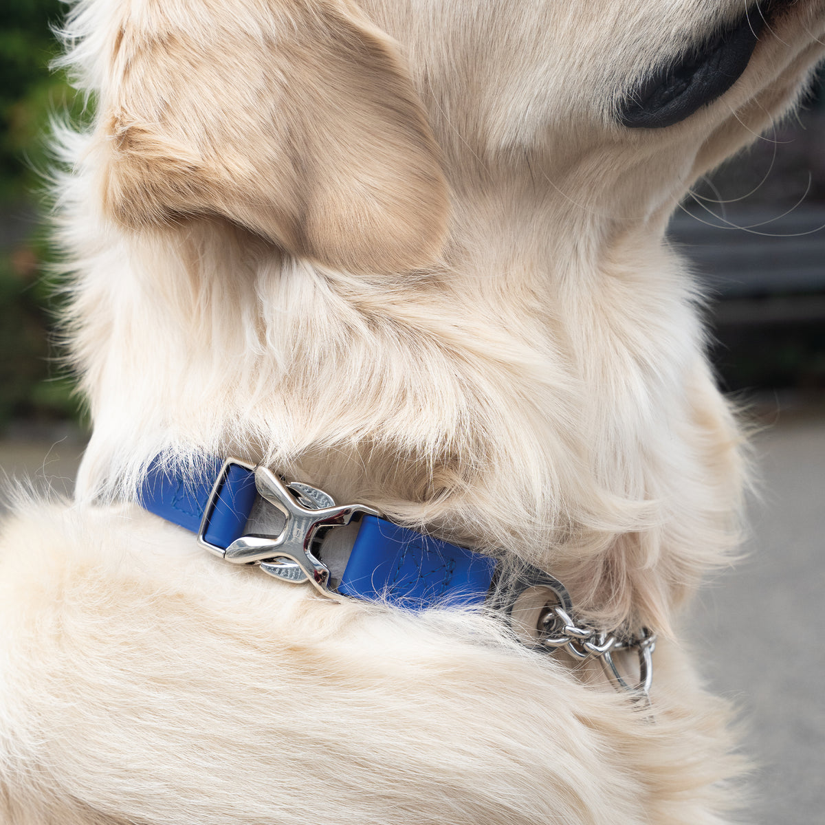 Verstellbares Halsband mit Durchzugskette und Spyder-Verschluss - BioThane®