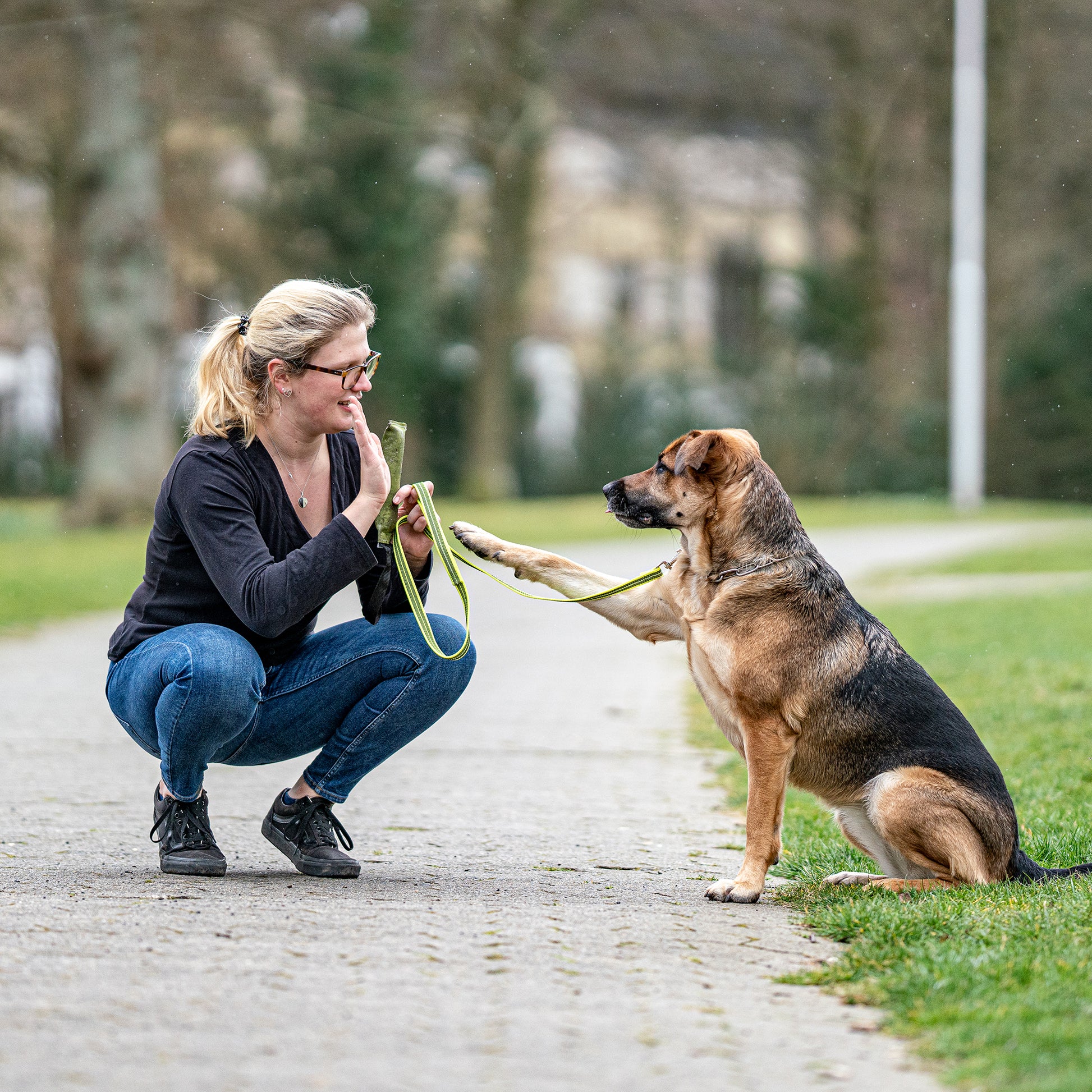 Hund an neon gelber Hundeleine gibt Frau Pfötchen