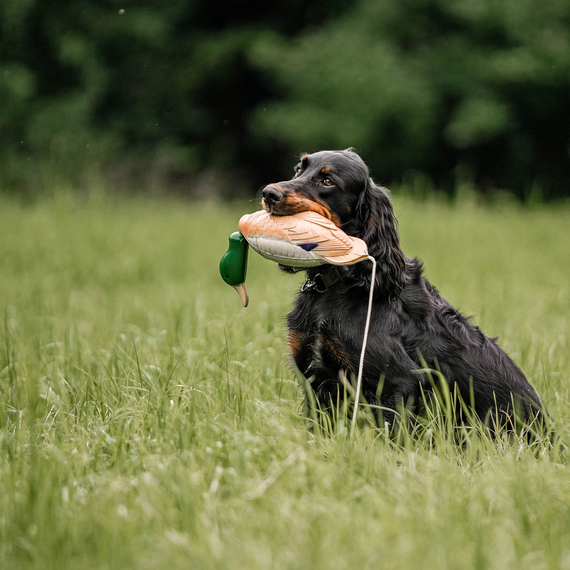 Apportierdummy - Ente