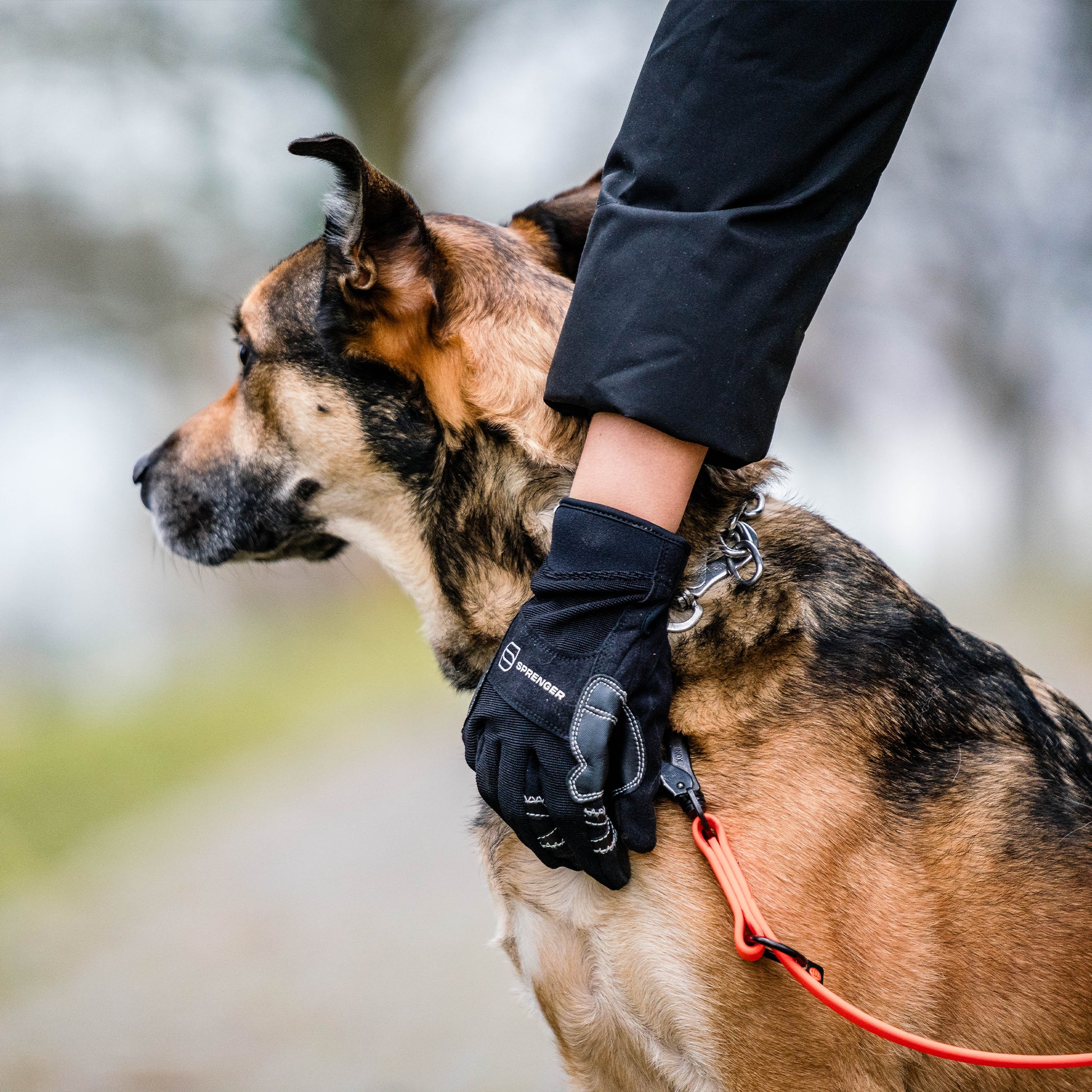 Flexgrip Comfort Handschuh anliegend am Hund