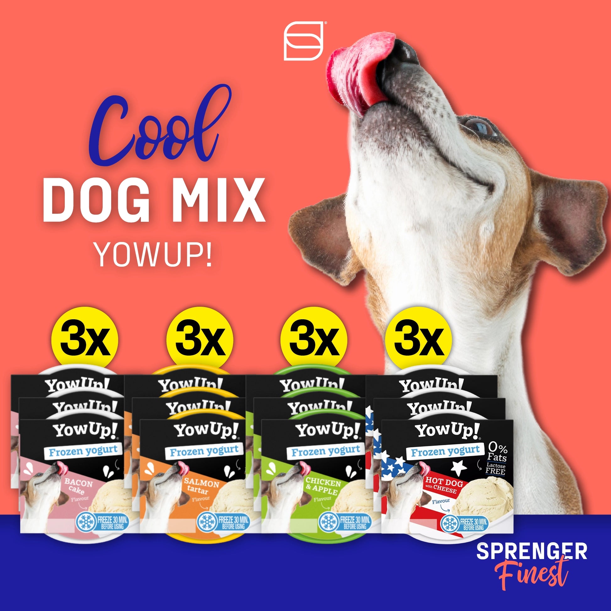 Cool Dog Mix YowUp! In der gemischten Packung sind jeweils 3 Stück der 4 Frozen Joghurt Sorten Bacon Cake, Lachs Tartar, Huhn & Apfel, Hot Dog Cheese