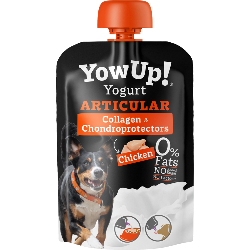 Hunde Joghurt Huhn
