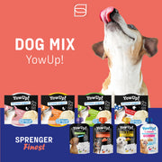 YowUp! Bundle – Frozen Yogurt & Joghurt Mixed Selection (12+10 Stück)
