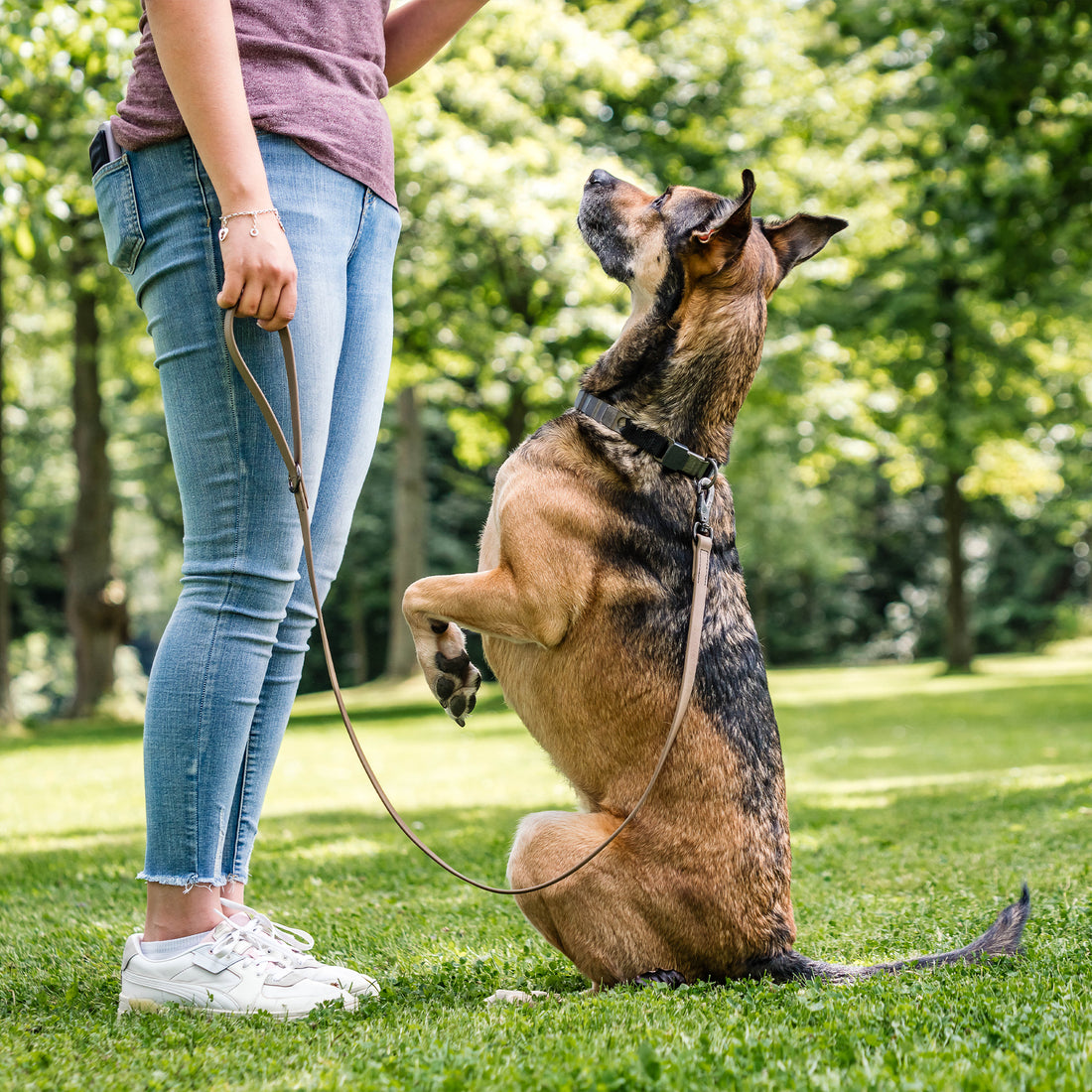 Training und Tricks