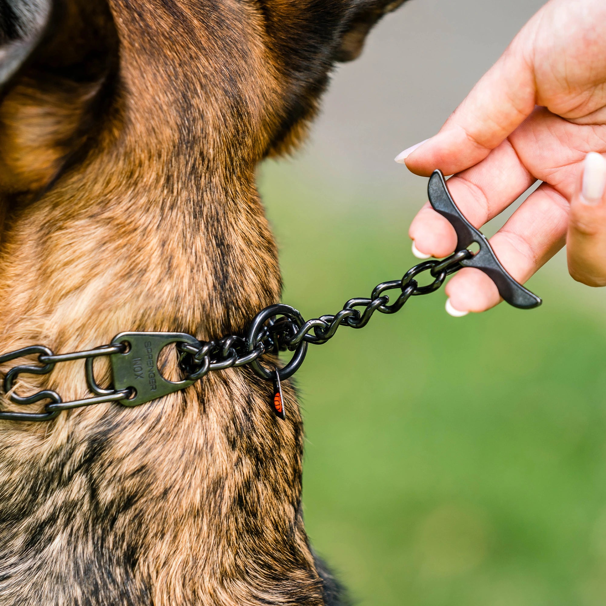 ULTRA-PLUS Collier de dressage avec plaque centrale, chaîne de traction et fermoir papillon - Acier inoxydable noir