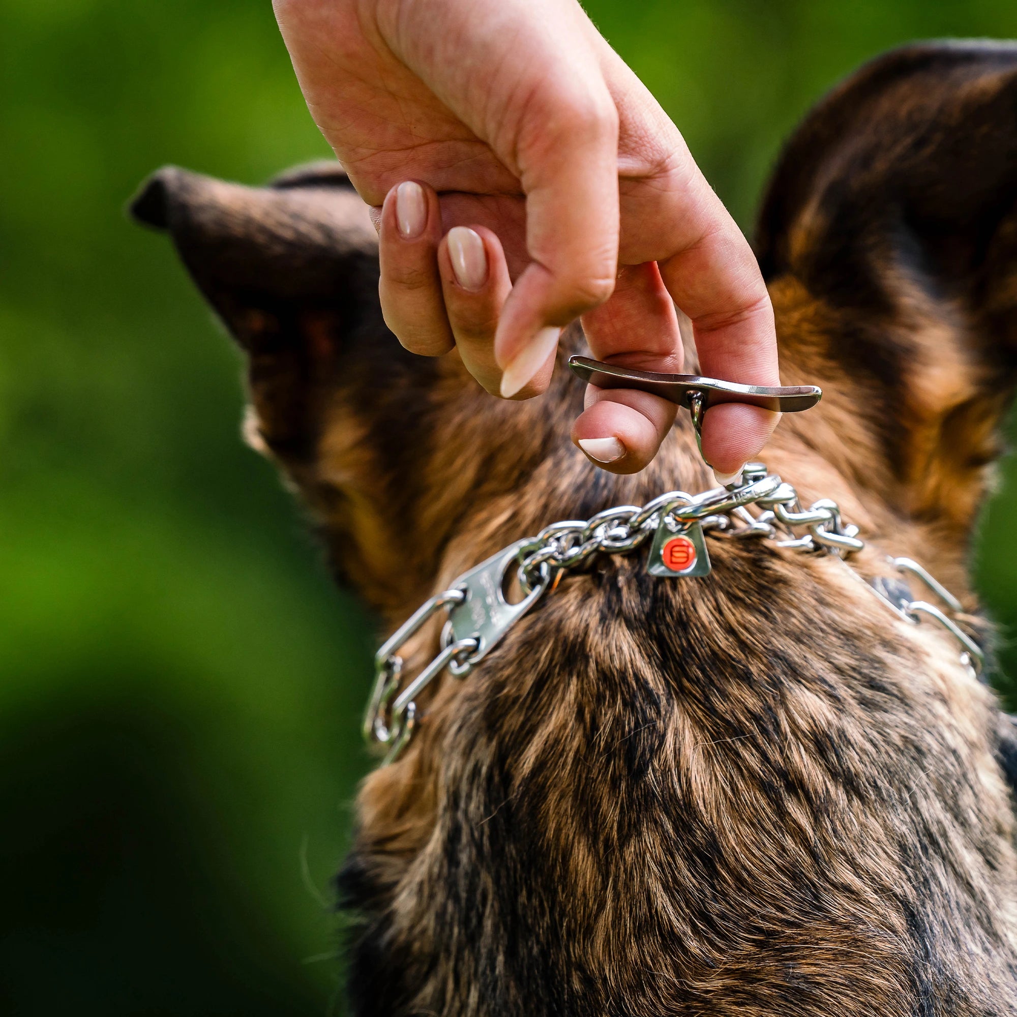 ULTRA-PLUS Collier de dressage avec plaque centrale, chaîne de traction et fermoir papillon - Acier inoxydable